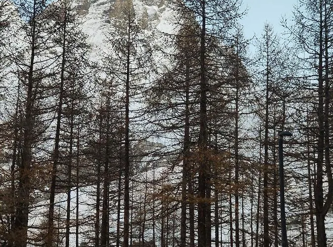 Cervino's View - In Out Breuil-Cervinia